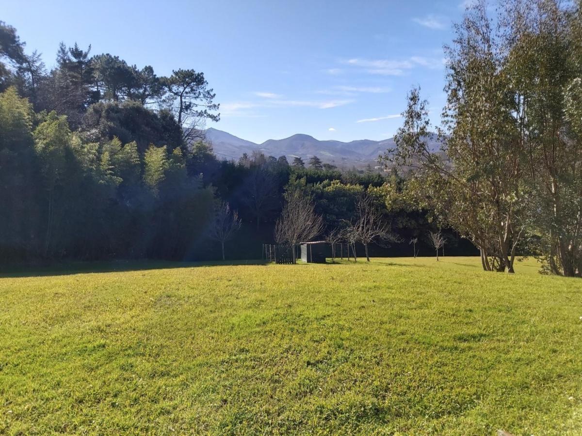 Appartement 3*** Avec Jardin Et Wifi A Proximite De Saint Jean De Luz - Fr-1-239-504 Ascain Bagian luar foto