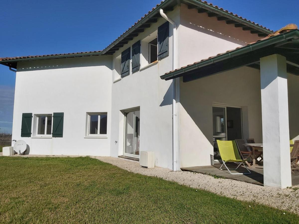 Appartement 3*** Avec Jardin Et Wifi A Proximite De Saint Jean De Luz - Fr-1-239-504 Ascain Bagian luar foto